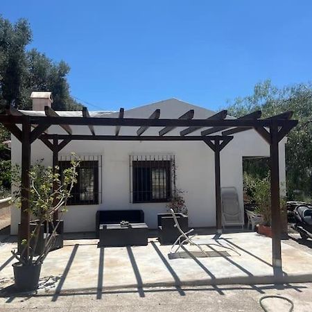 Farmhouse Surrounded By Centenary Olive Trees Olías Exterior foto